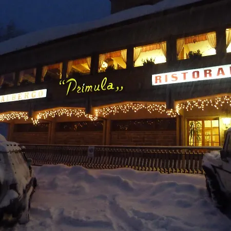 Primula アベトーネ